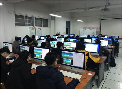 女大學(xué)生畢業(yè)收入排行榜揭曉 軟件工程榮登榜首，你的專業(yè)上榜了嗎？