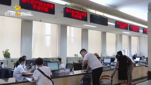 常德公開中介服務機構(gòu)名單 助市民辦事查詢更便捷